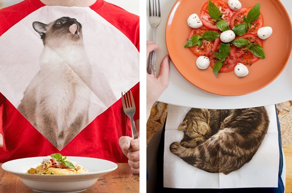 Voor kattenliefhebbers Voor kattenliefhebbers
